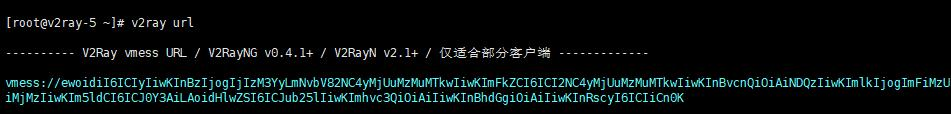 638d955f8db5b.png Shadowsocks節(jié)點(diǎn)和v2ray節(jié)點(diǎn).........png